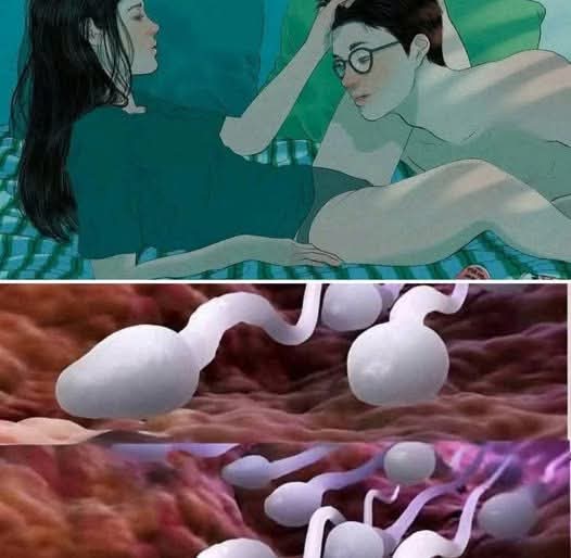 🛑Studies reveal that swallowing your partner’s semen… See more